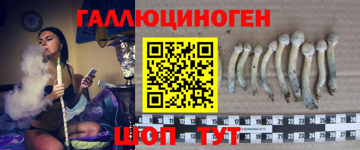 Псилоцибиновые грибы Magic Shrooms  Вход с VPN  Красноярск  Псилоцибиновые грибы Psilocybe 